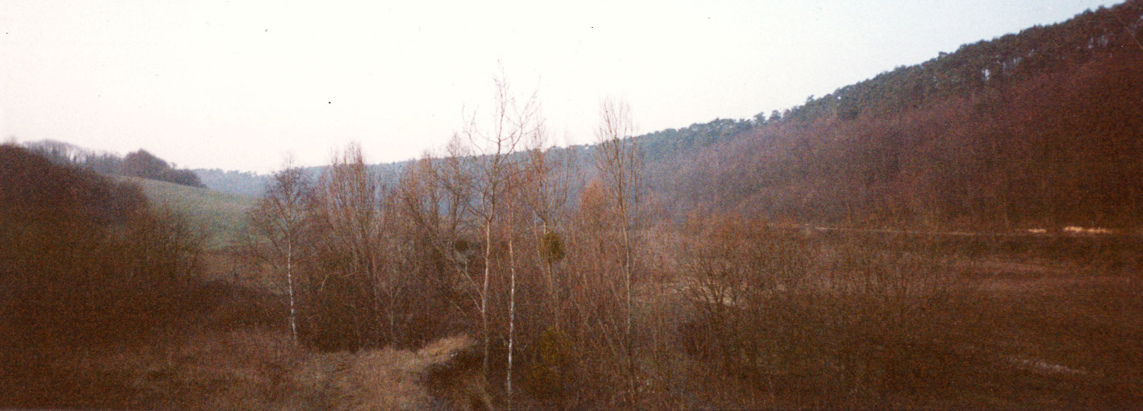 Vallée du catelier